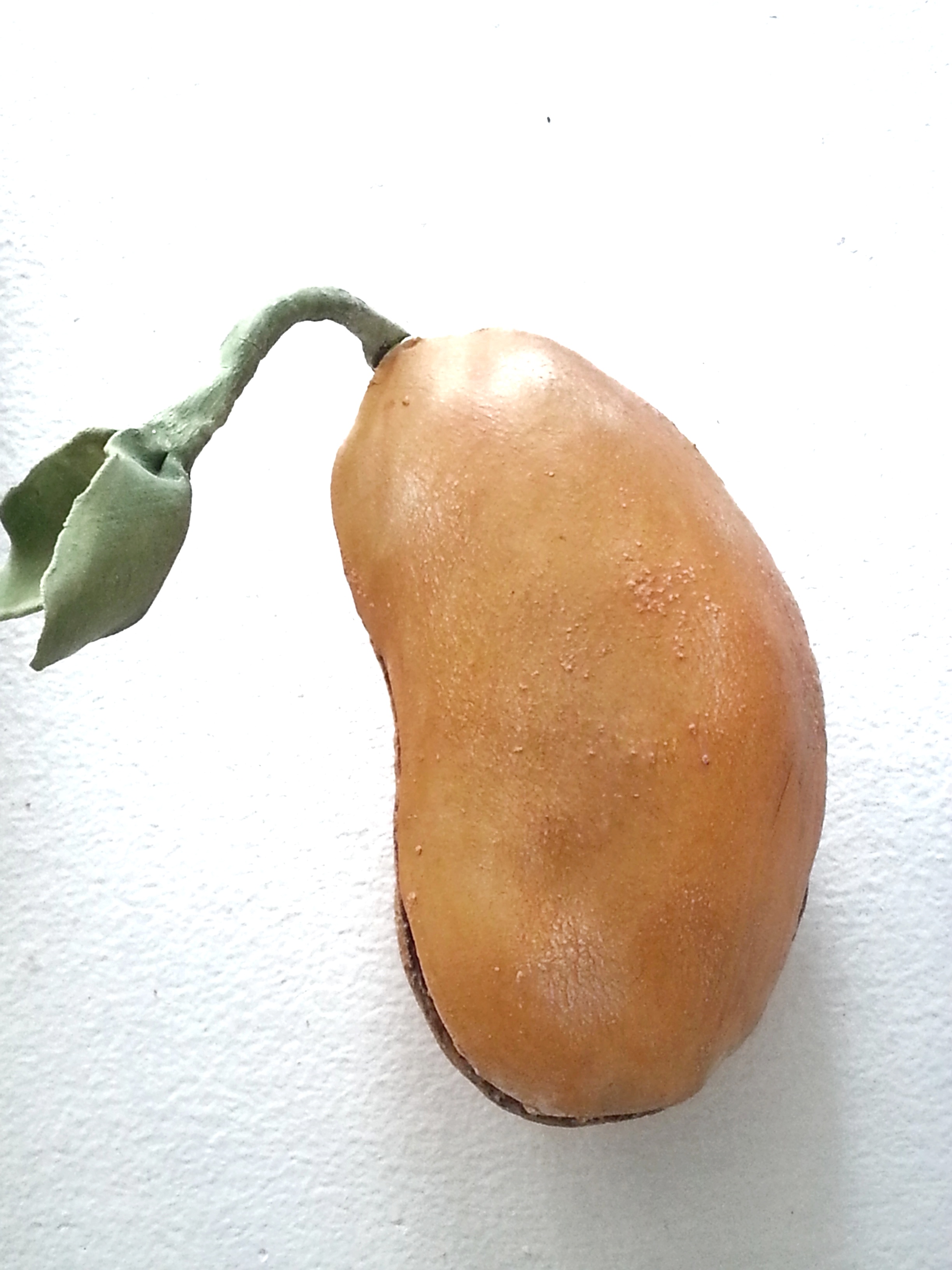 Yellow bean